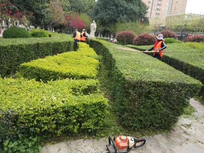 家庭园林景观设计水池形状