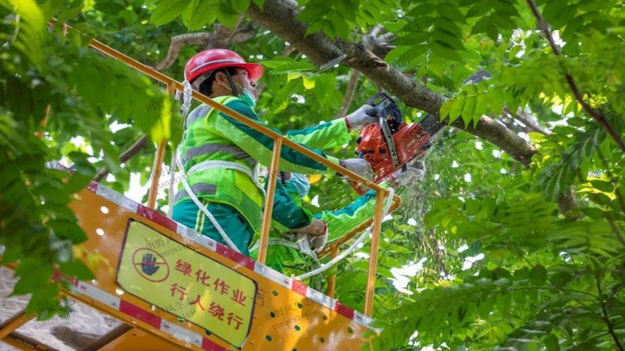 2017城市园林景观设计