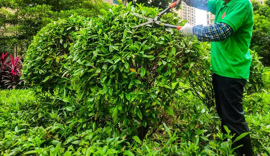 家庭园林景观设计方案
